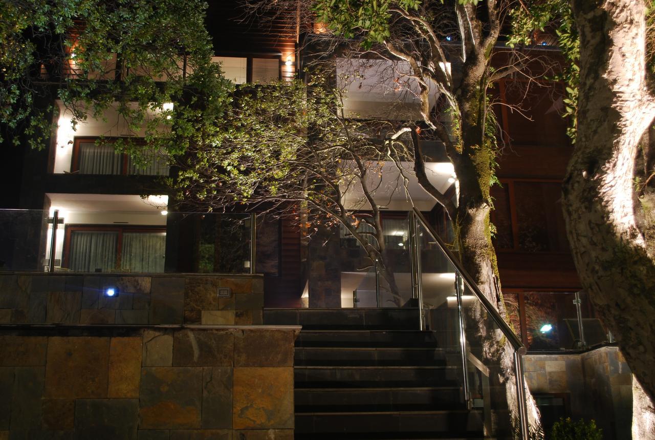 Hotel Playa Grande Suites Pucón Extérieur photo